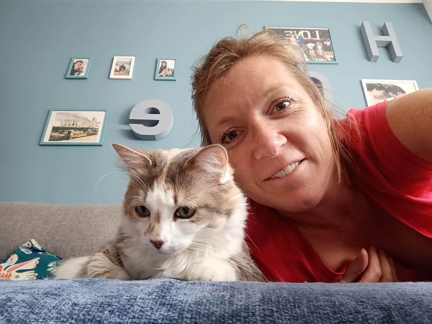 Minou détendu pendant sa garde à domicile