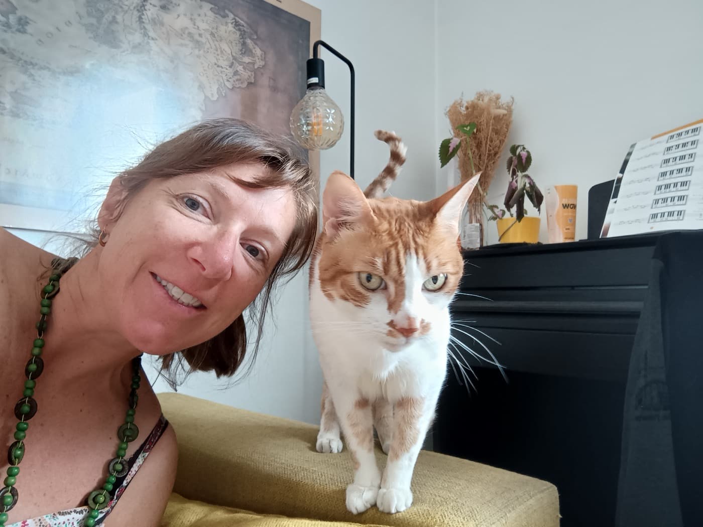 Minou câliné pendant une visite de cat-sitting