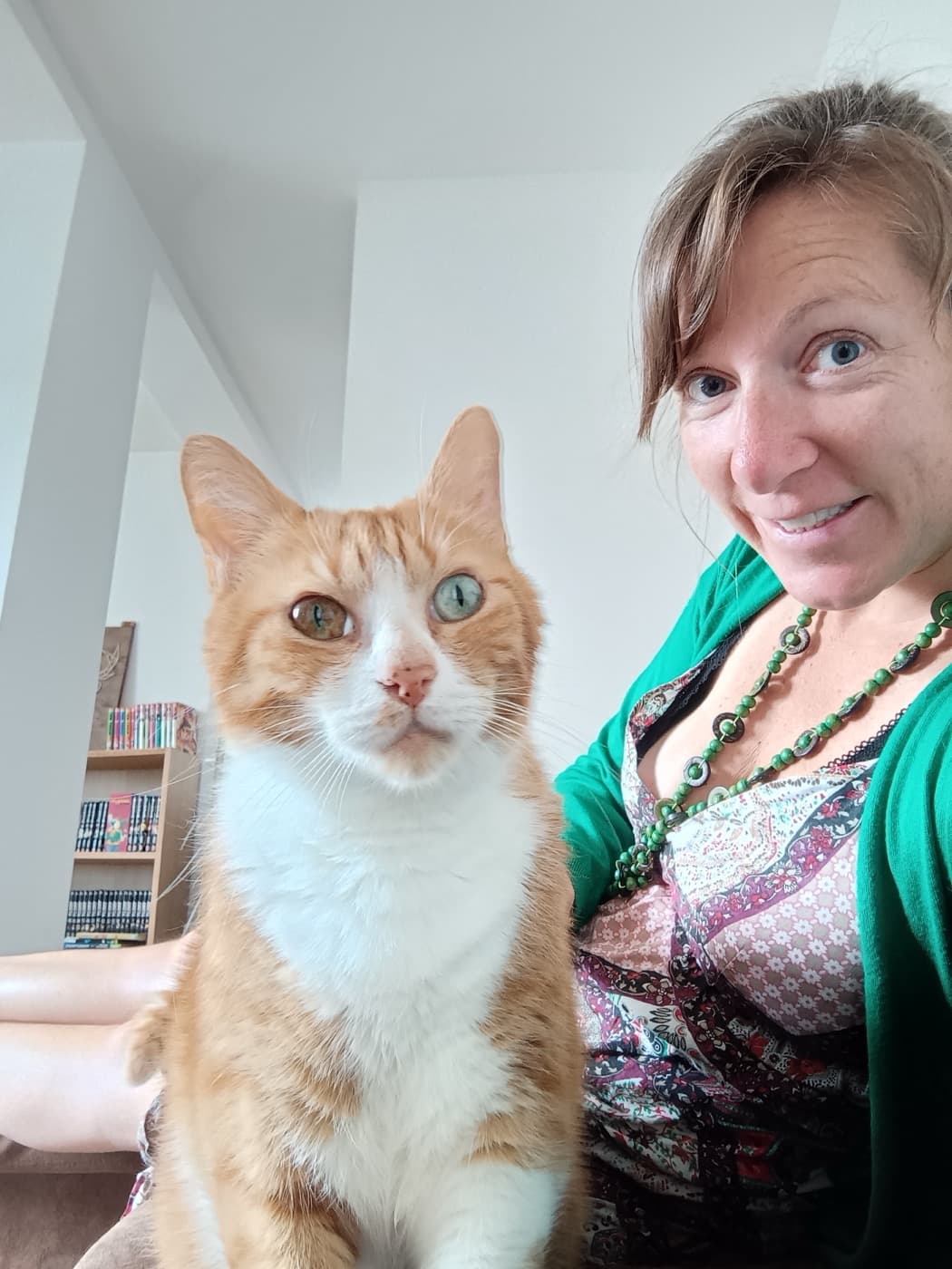 Chat gardé à domicile à Nantes