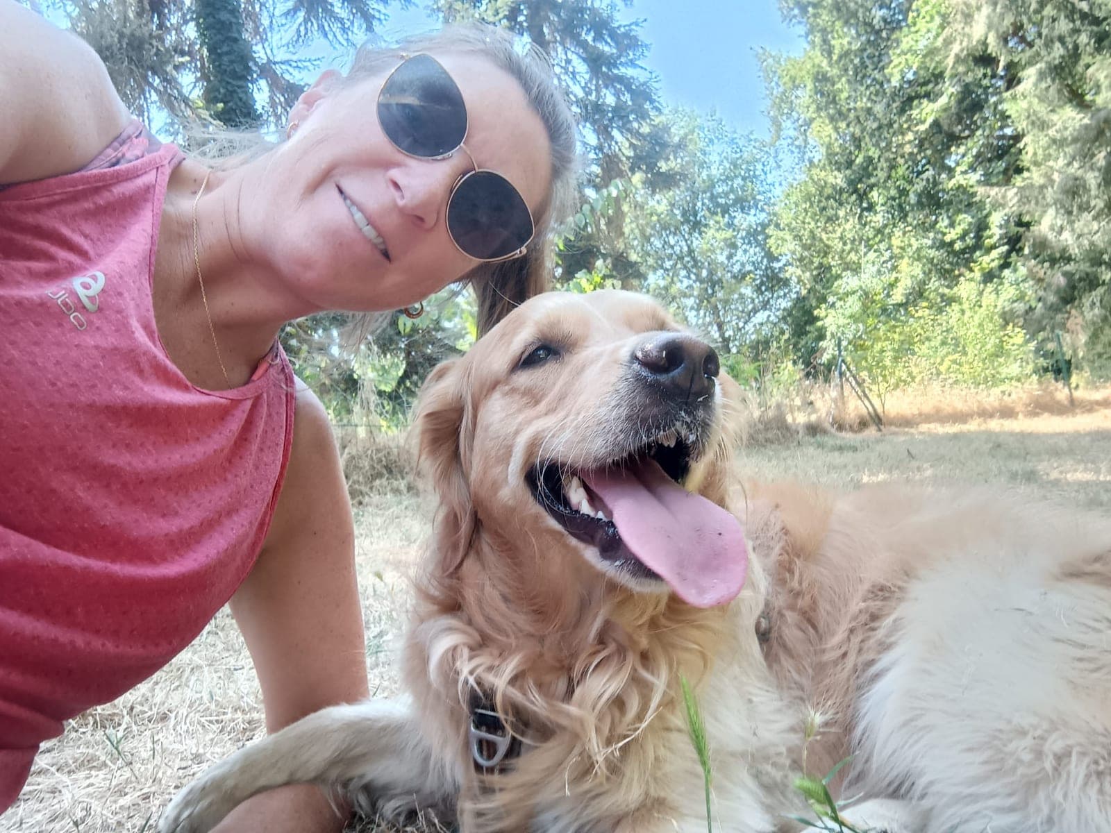 Chien détendu au fil de la promenade