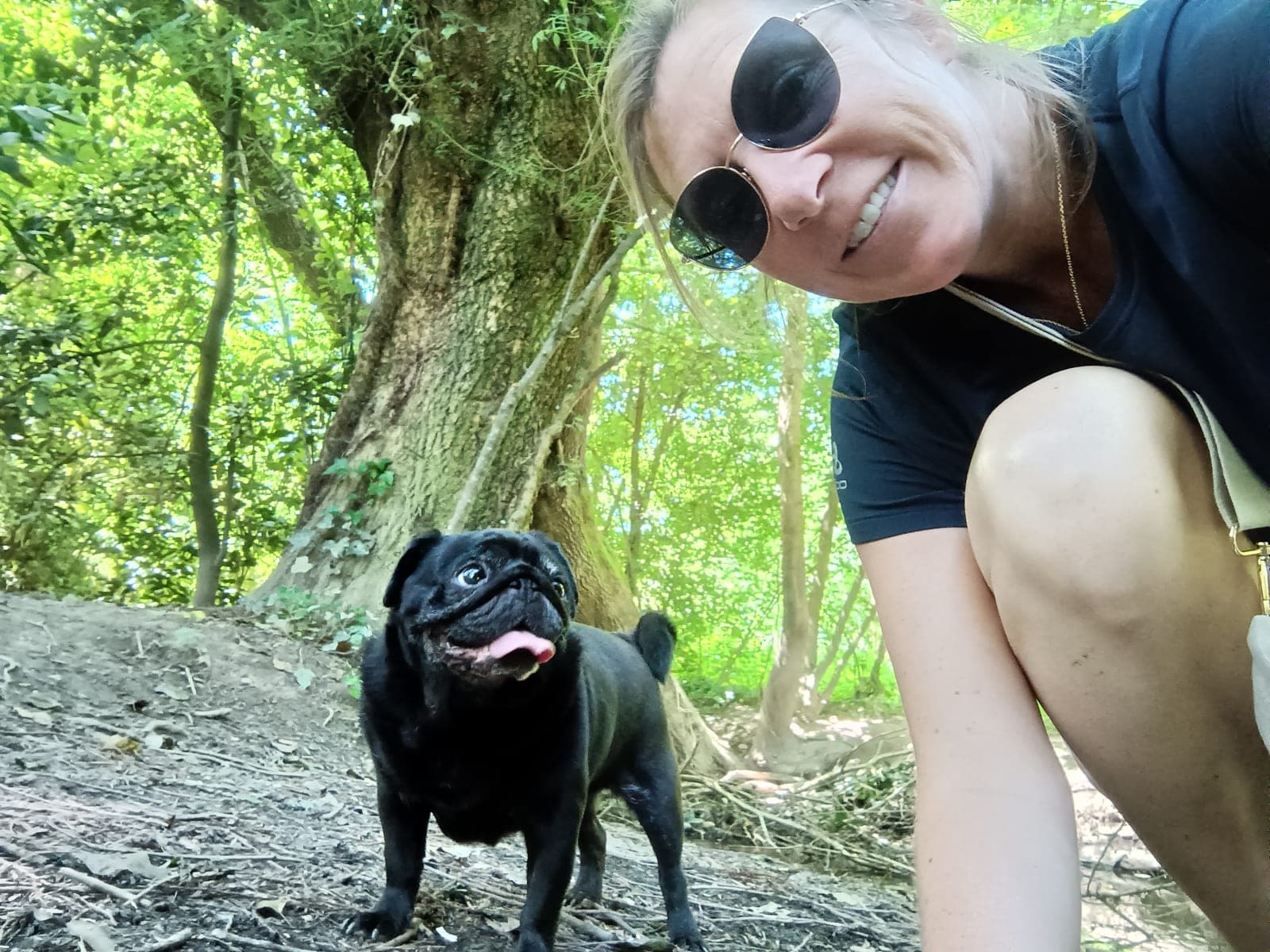 Chien bien dans ses pattes pendant sa balade