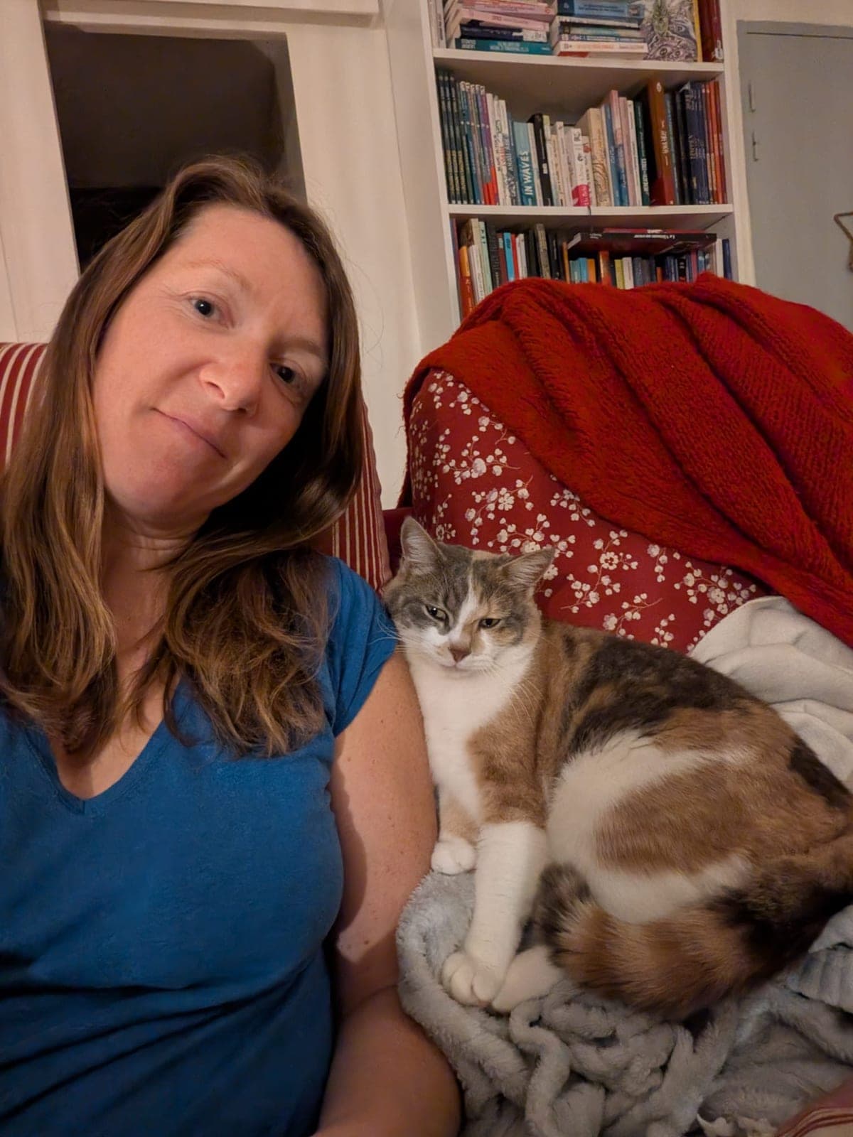 Chat épanoui à la maison