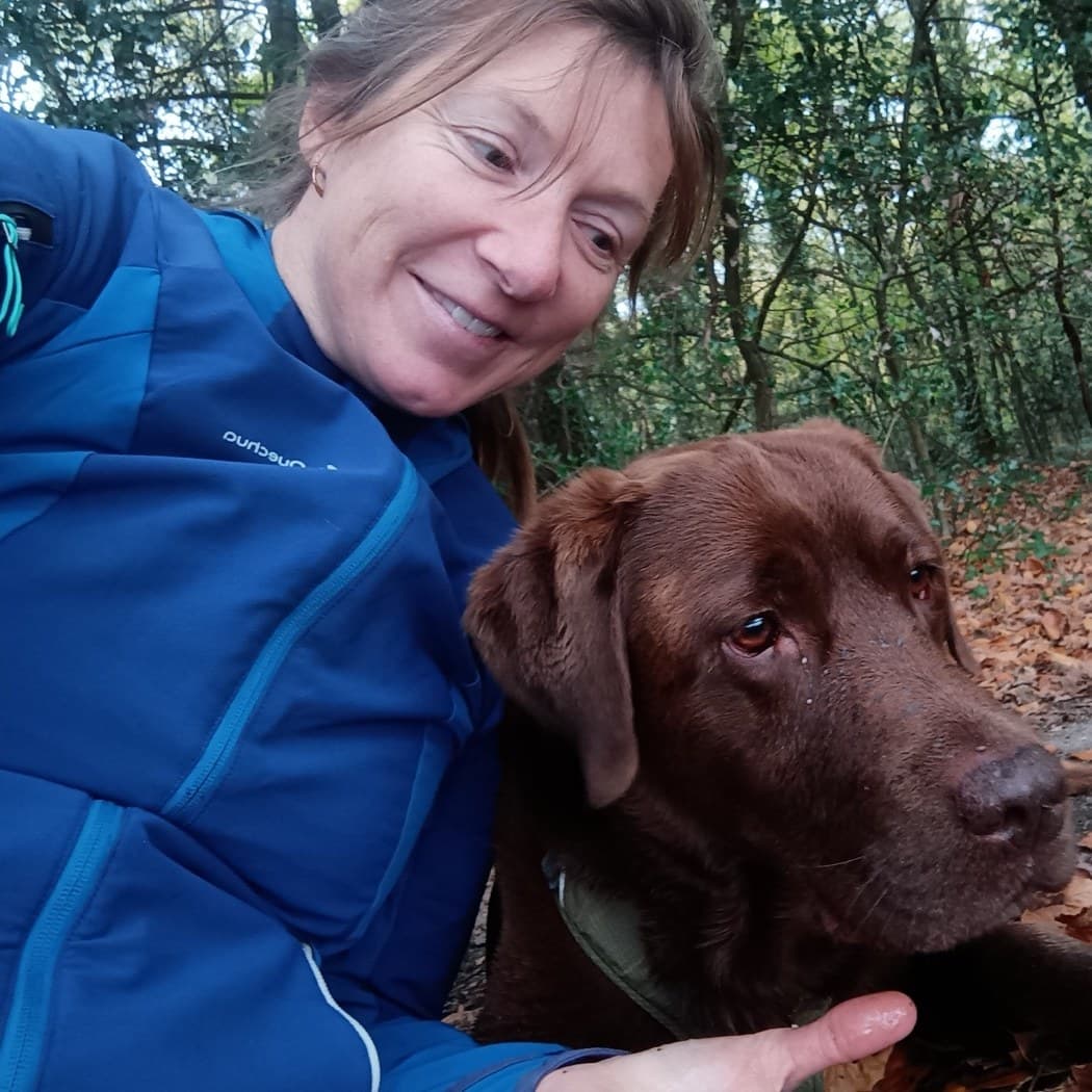 Chien épanoui lors d'une balade avec Des coussinets de velours