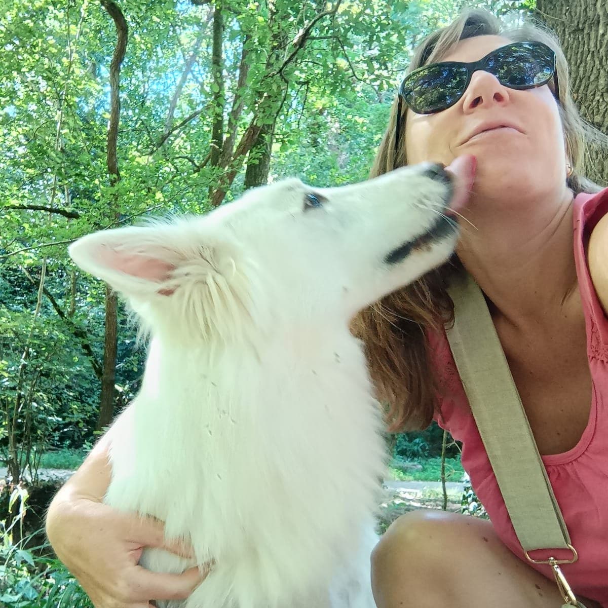 Promenade canine dans la campagne nantaise